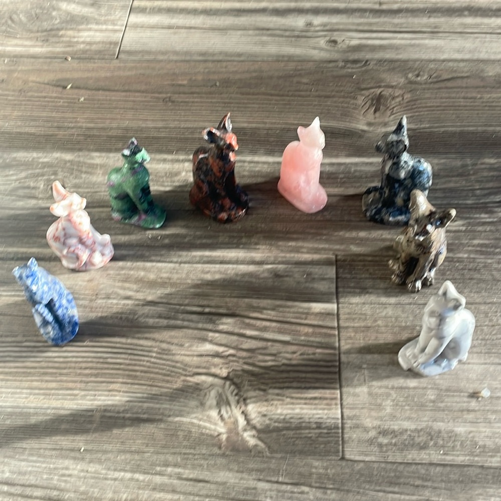 Sphynx cats for sale individually. Each one a different type of mineral